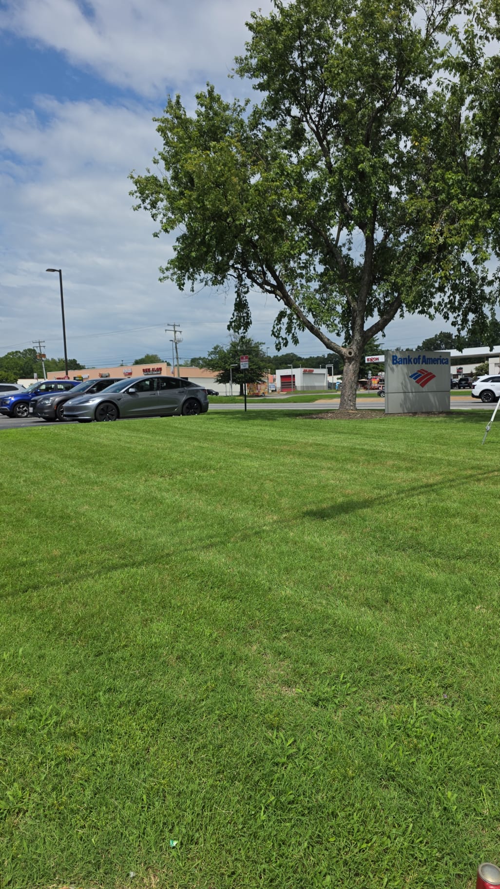 Bank of America Location 2 - Commercial landscaping project