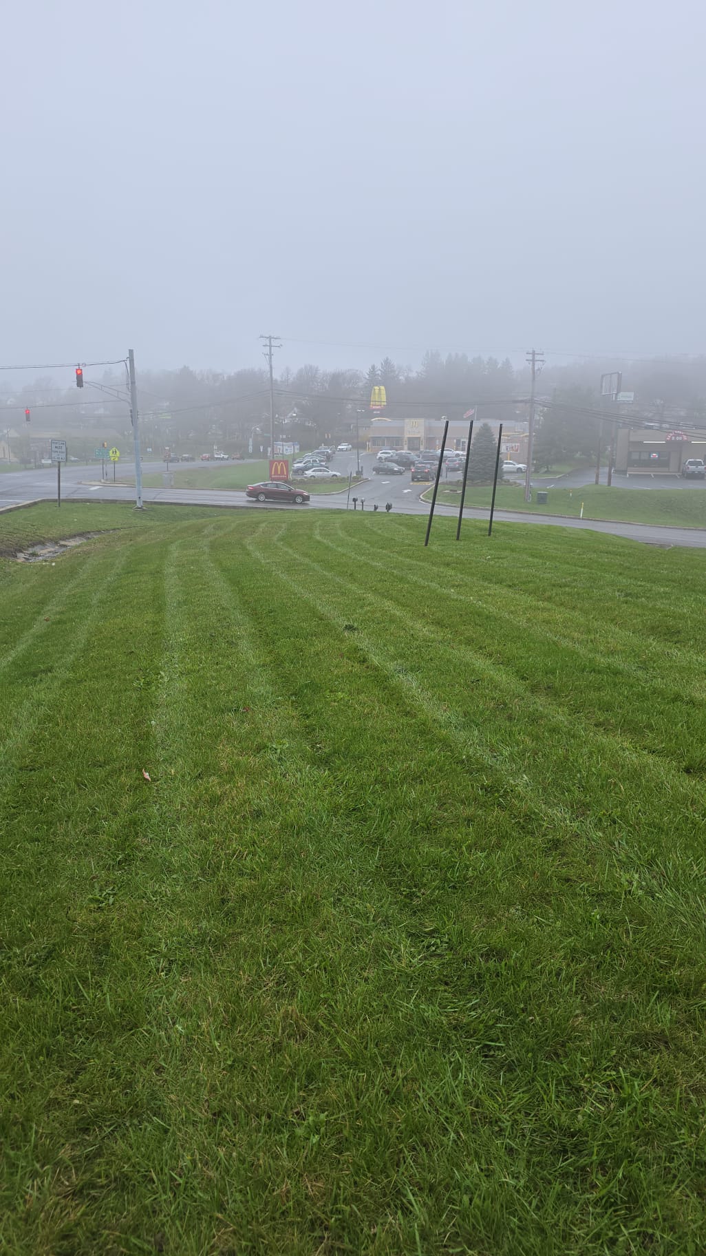 Commercial Lawn Services - Commercial landscaping project