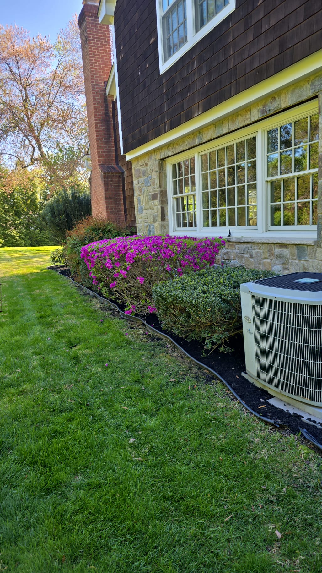 Modern Home Foundation Planting - Residential landscaping project