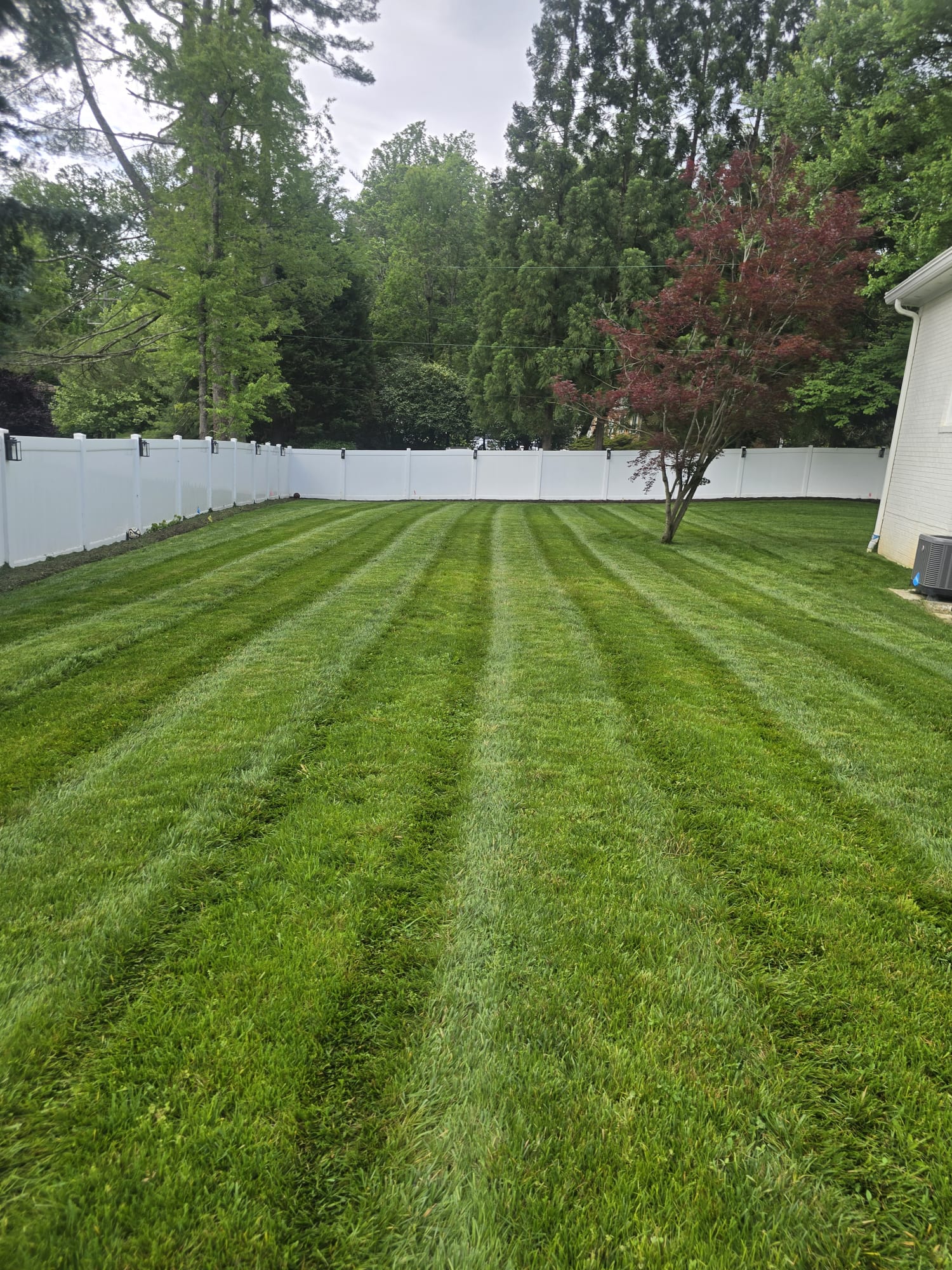 Pristine Backyard Transformation - Residential landscaping project