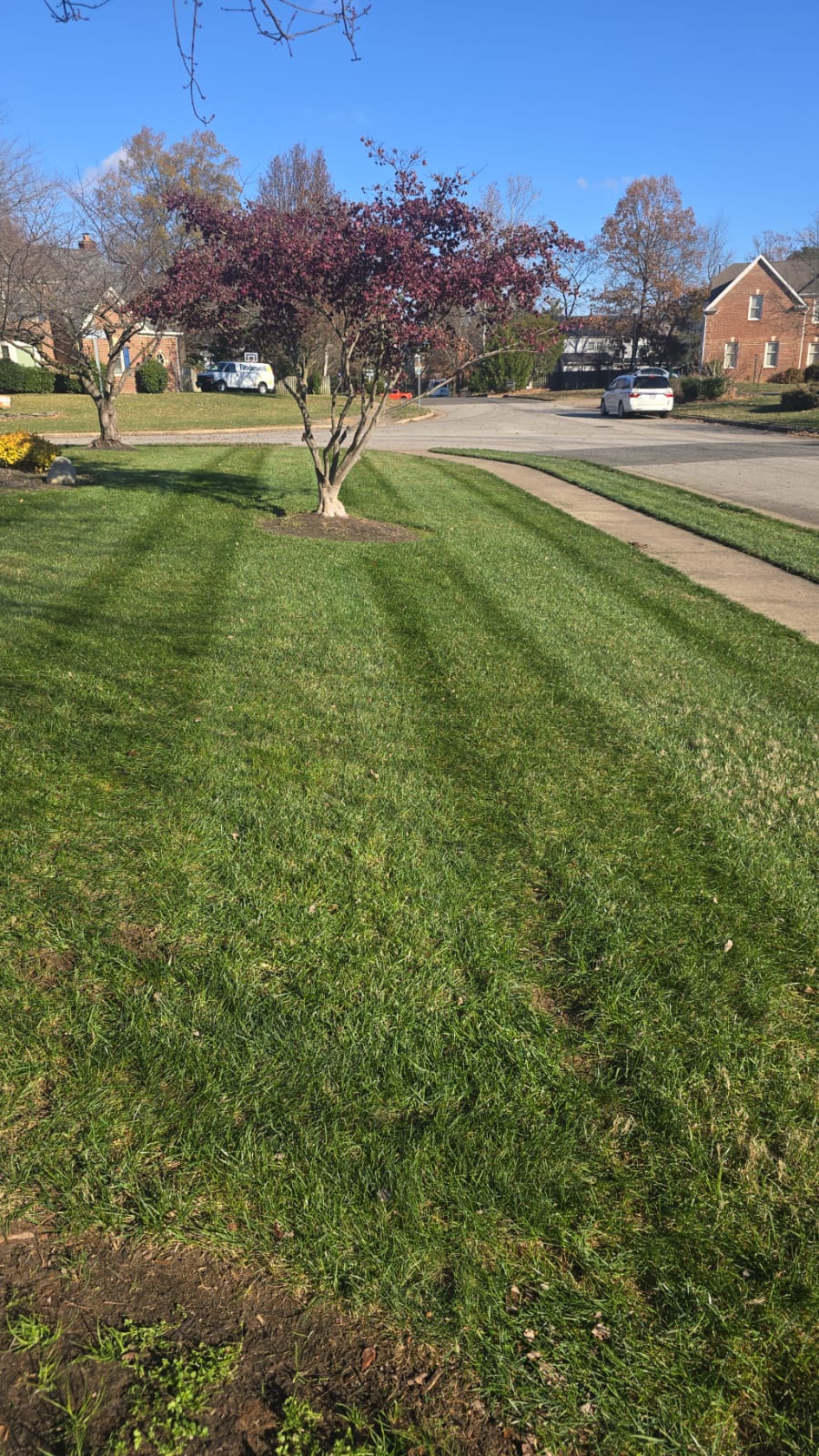 Front Yard Beautification - Residential landscaping project