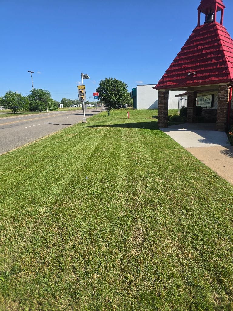 Educational Facility Landscape Design - Schools landscaping project